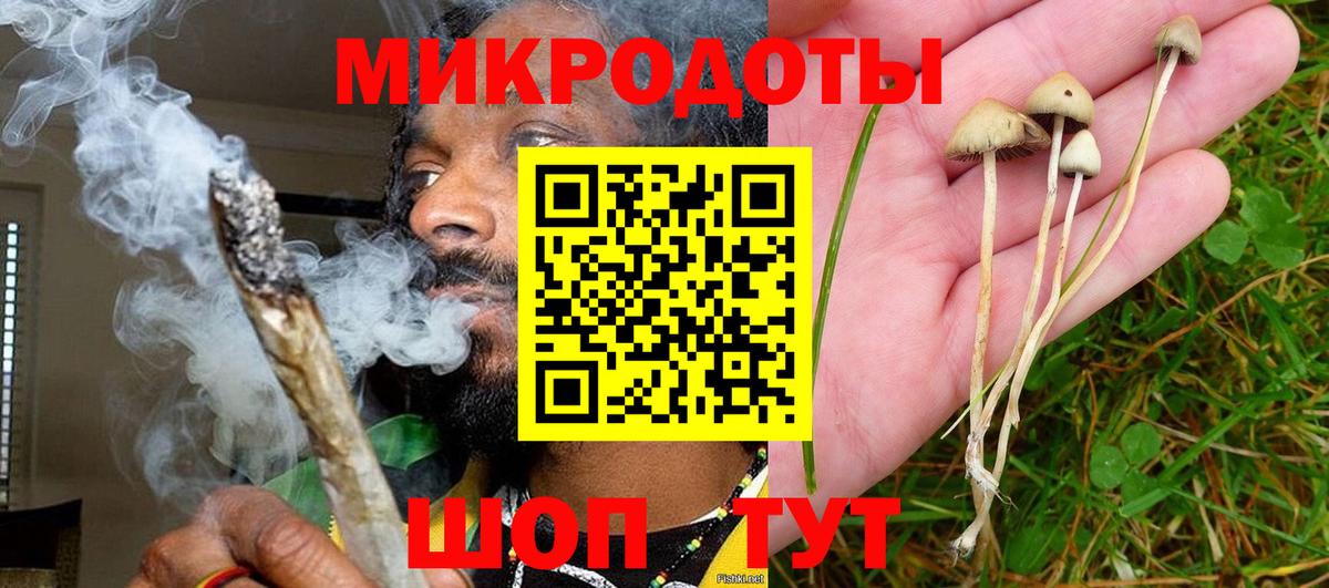 Галлюциногенные грибы ЛСД Тимашёвск