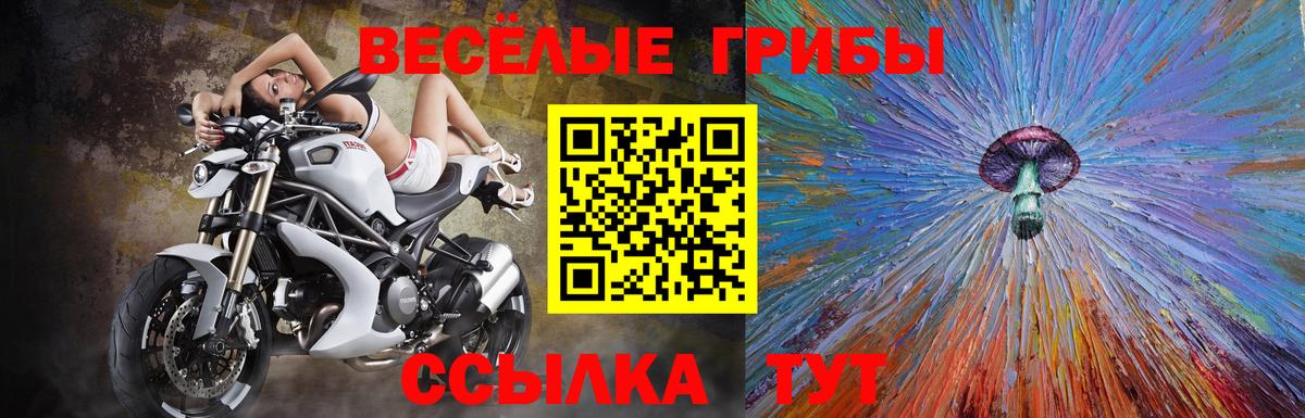 Псилоцибиновые грибы GOLDEN TEACHER  Вход с VPN  Тимашёвск  Галлюциногенные грибы прущие грибы 